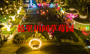 草莓香蕉视频一级片风光